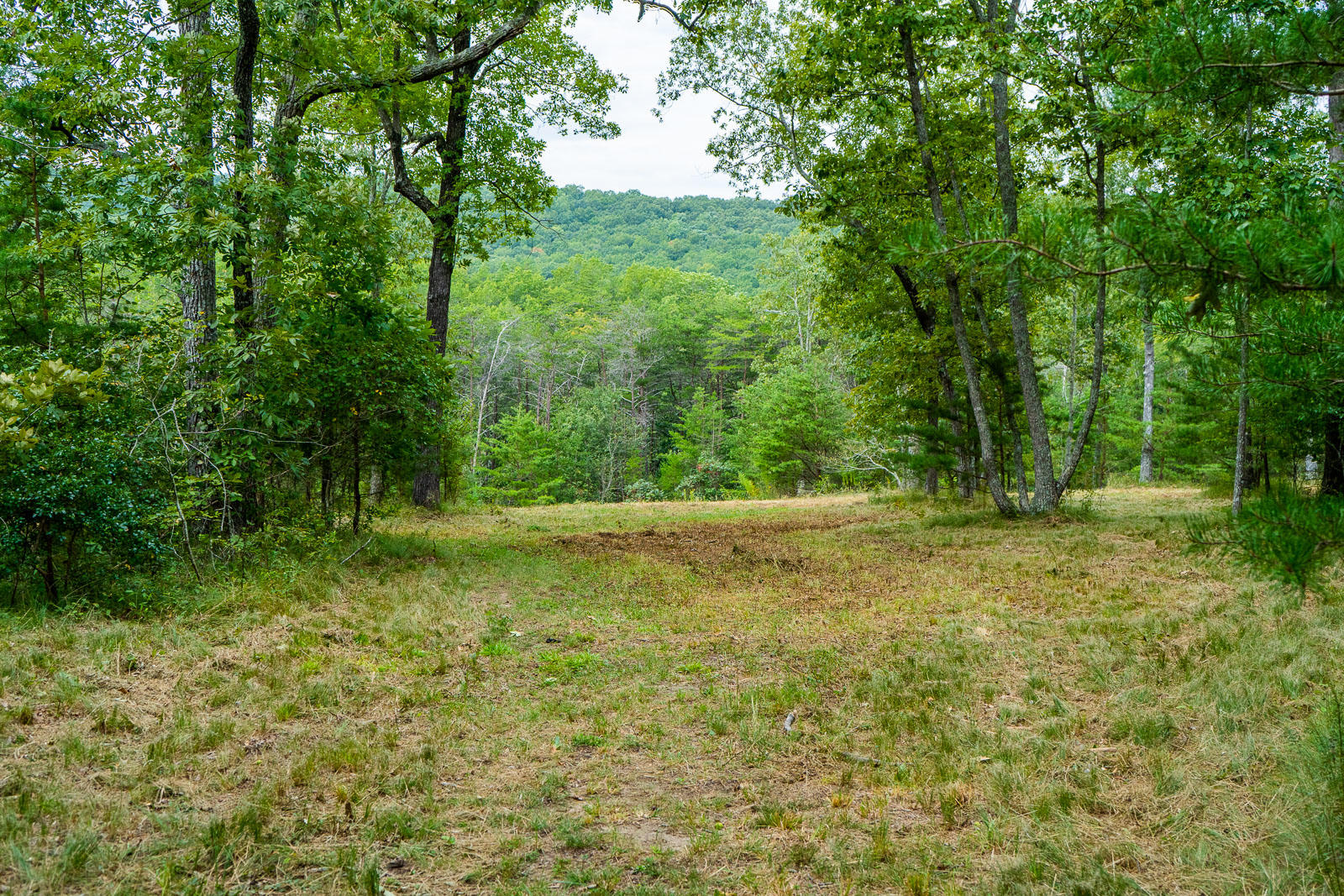 0 Long Branch Road, Unit 18 Rising Fawn, GA 30738 - Photo 10 of 33 Long-Branch-Preserve-Lot-18-Photos-11