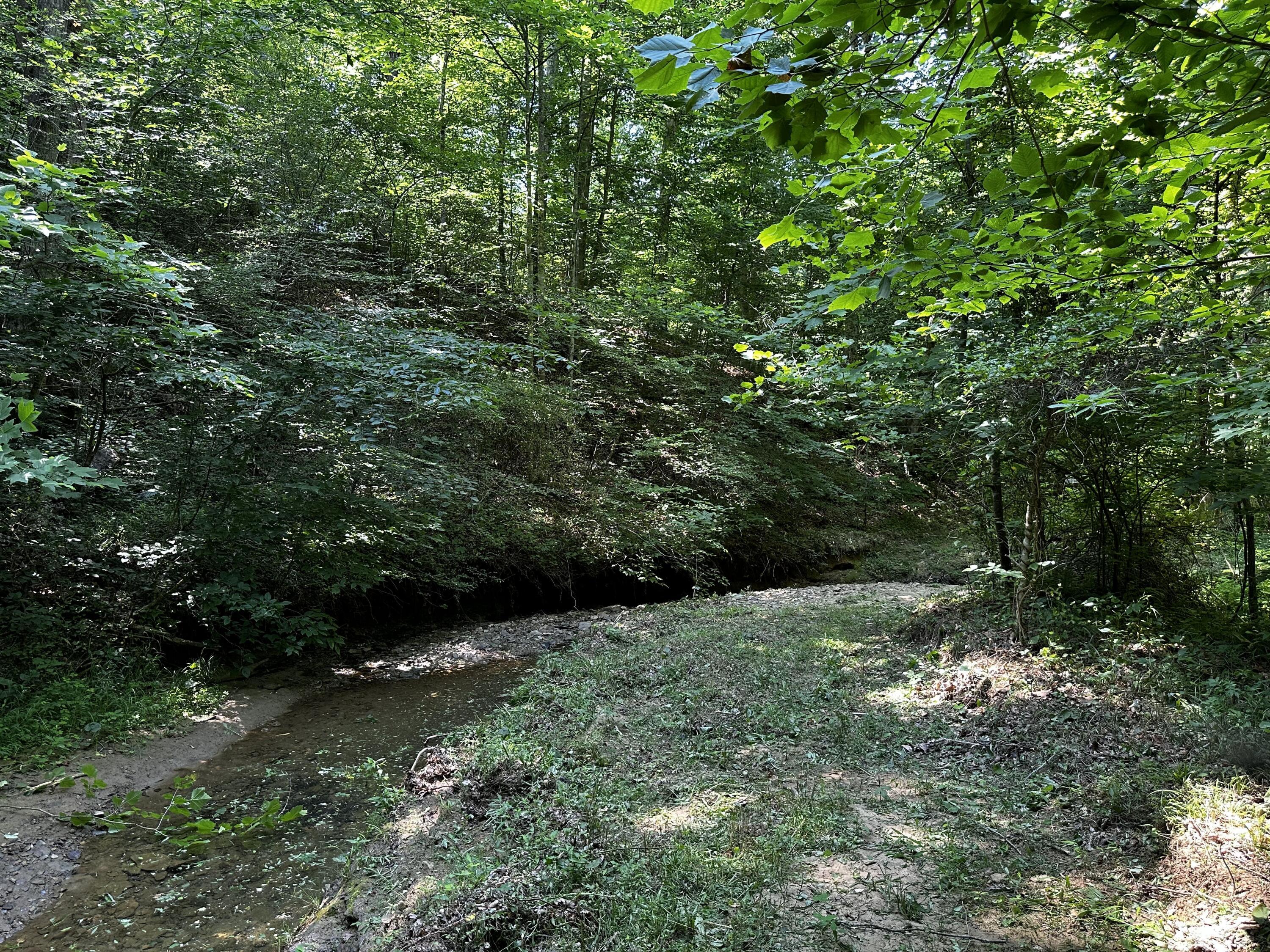 1101 Hull Road, Unit TRACT 9 WOODS WAYNE FOREST) Patriot, OH 45658 - Photo 34 of 61 20240621_150342162_iOS