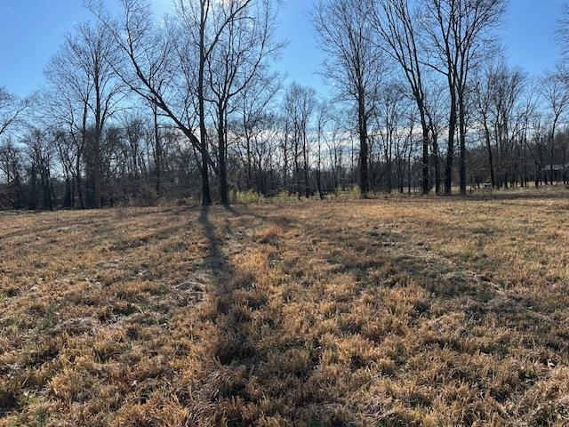 136 River Run Savannah, TN 38372 - Photo 1 of 11 a view of a yard with trees