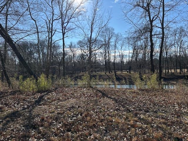 136 River Run Savannah, TN 38372 - Photo 2 of 11 a backyard of a house with lots of green space