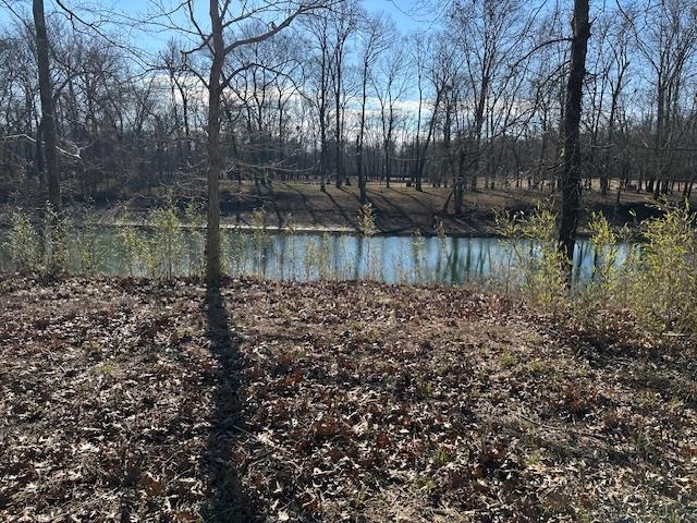 136 River Run Savannah, TN 38372 - Photo 3 of 11 a view of a lake view