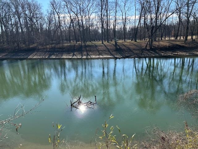 136 River Run Savannah, TN 38372 - Photo 5 of 11 a view of lake