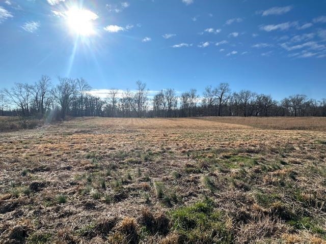 136 River Run Savannah, TN 38372 - Photo 6 of 11 a view of an outdoor space and a yard