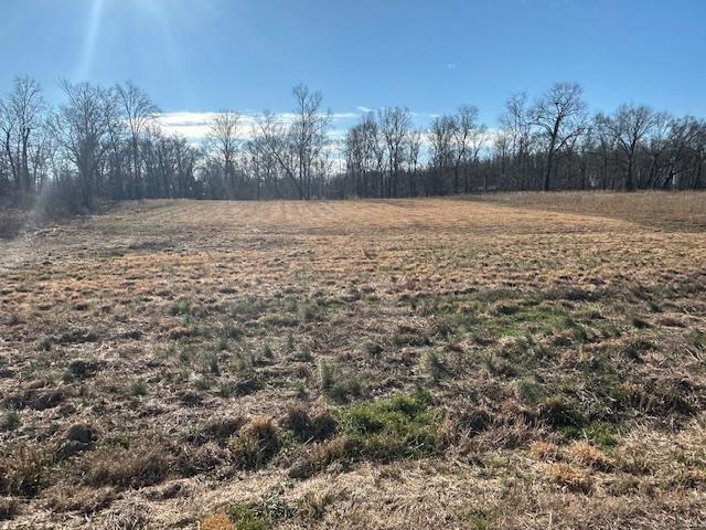 136 River Run Savannah, TN 38372 - Photo 7 of 11 a view of yard with large trees