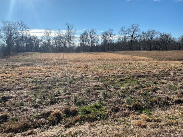 136 River Run Savannah, TN 38372 - Photo 8 of 11 a view of yard with trees