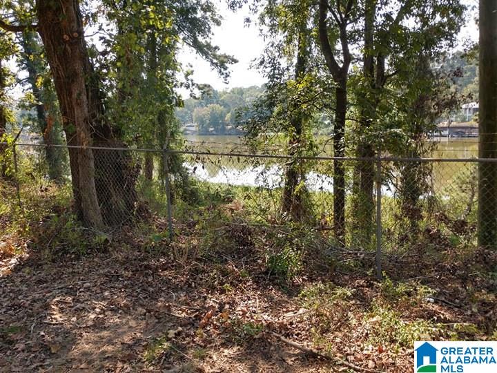 164 Naval Reserve Road Bessemer, AL 35023 - Photo 14 of 15