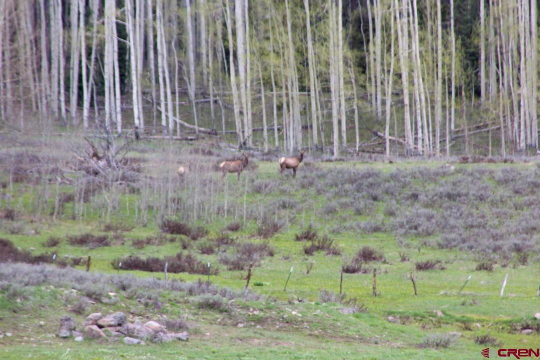 1851 Sioux Road Gunnison, CO 81230 - Photo 29 of 35 Gallery Image 29