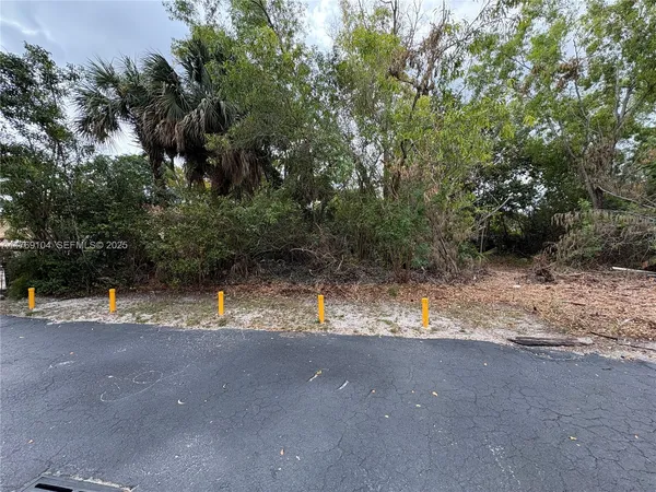 a view of a yard with plants and trees