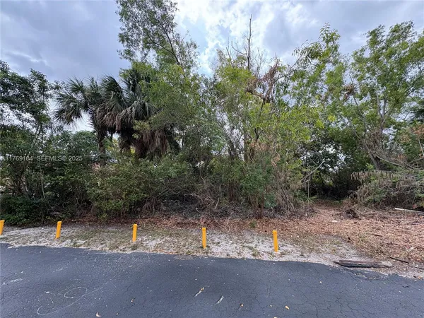 a view of a yard with a tree