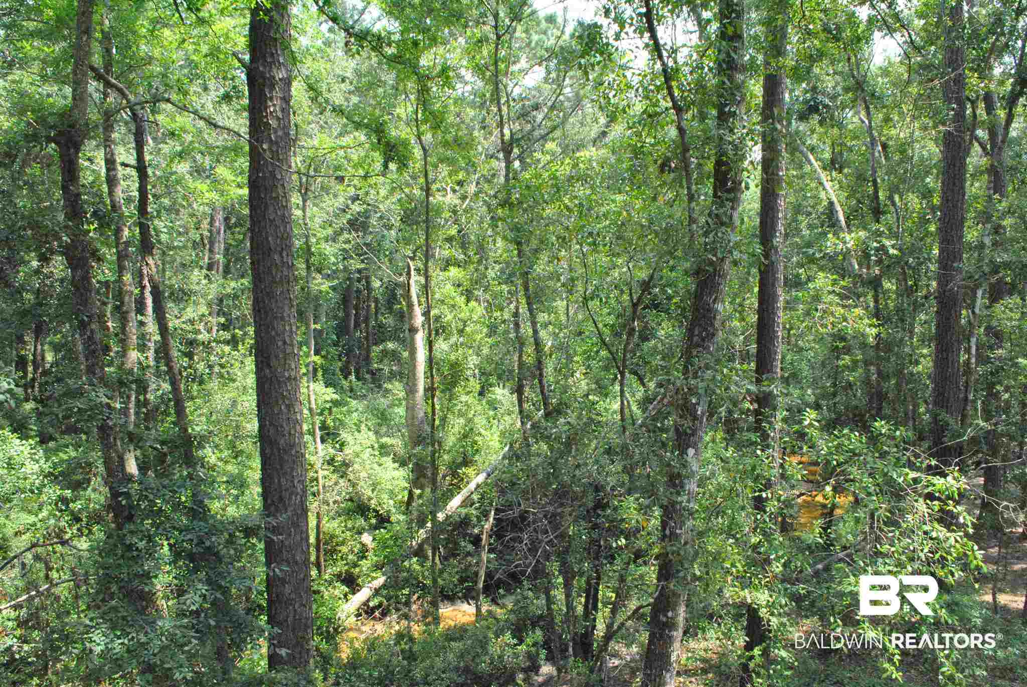 158 Lakeview Loop Daphne, AL 36526 - Photo 7 of 28