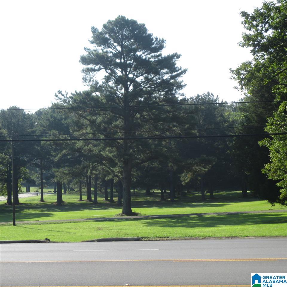 1909 2nd Avenue East, Unit 17 Oneonta, AL 35121 - Photo 2 of 3