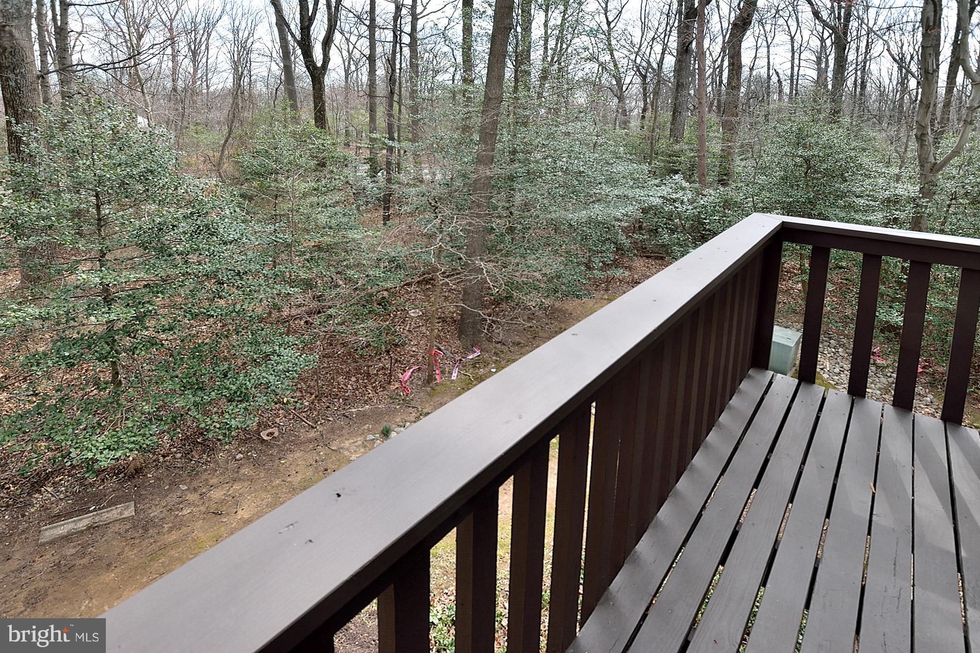 2101 Glencourse Lane Reston, VA 20191 - Photo 27 of 28 Enjoy views of nature!