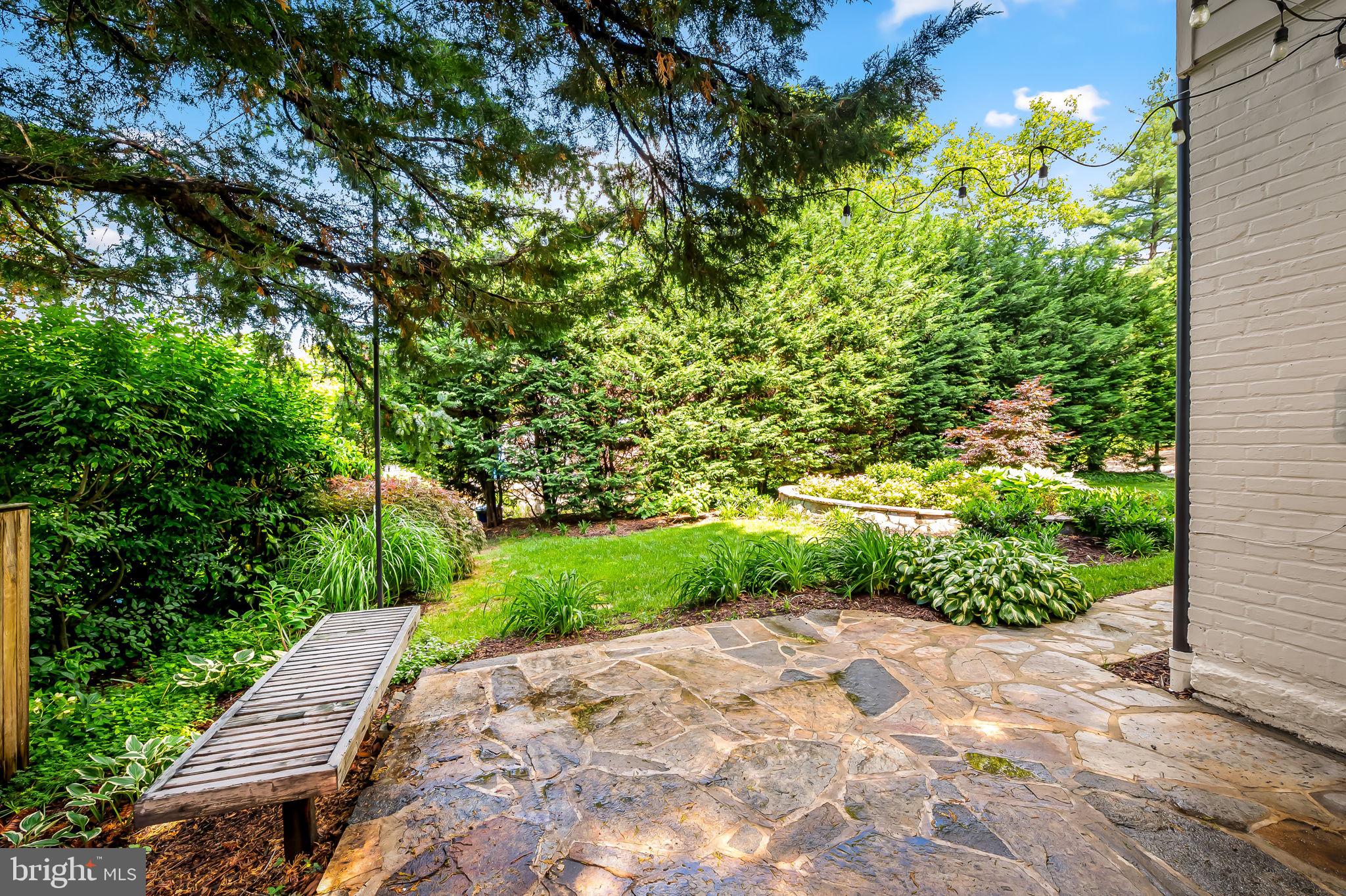 349 Tunbridge Road Baltimore, MD 21212 - Photo 3 of 43 a view of a garden with pathway