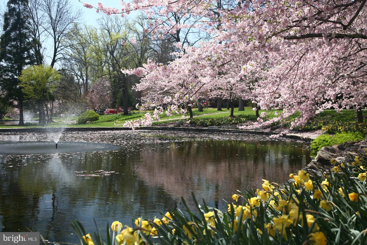 349 Tunbridge Road Baltimore, MD 21212 - Photo 42 of 43 a view of lake