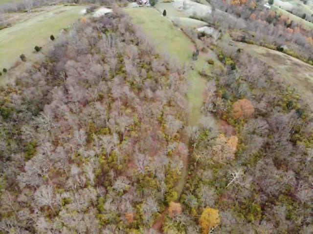 0 Salem Ridge Road Rising Sun, IN 47040 - Photo 51 of 68