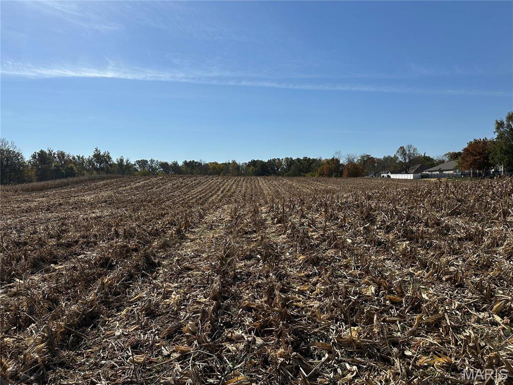 5 Mozart Place Millstadt, IL 62260 - Photo 11 of 15