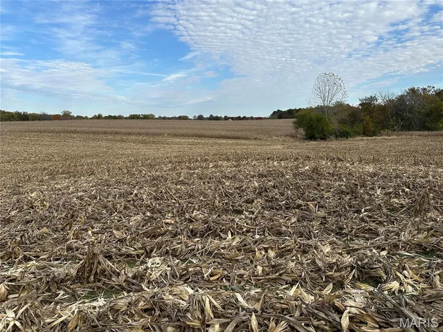 $205,000 | 5 Mozart Place, Millstadt, IL 62260