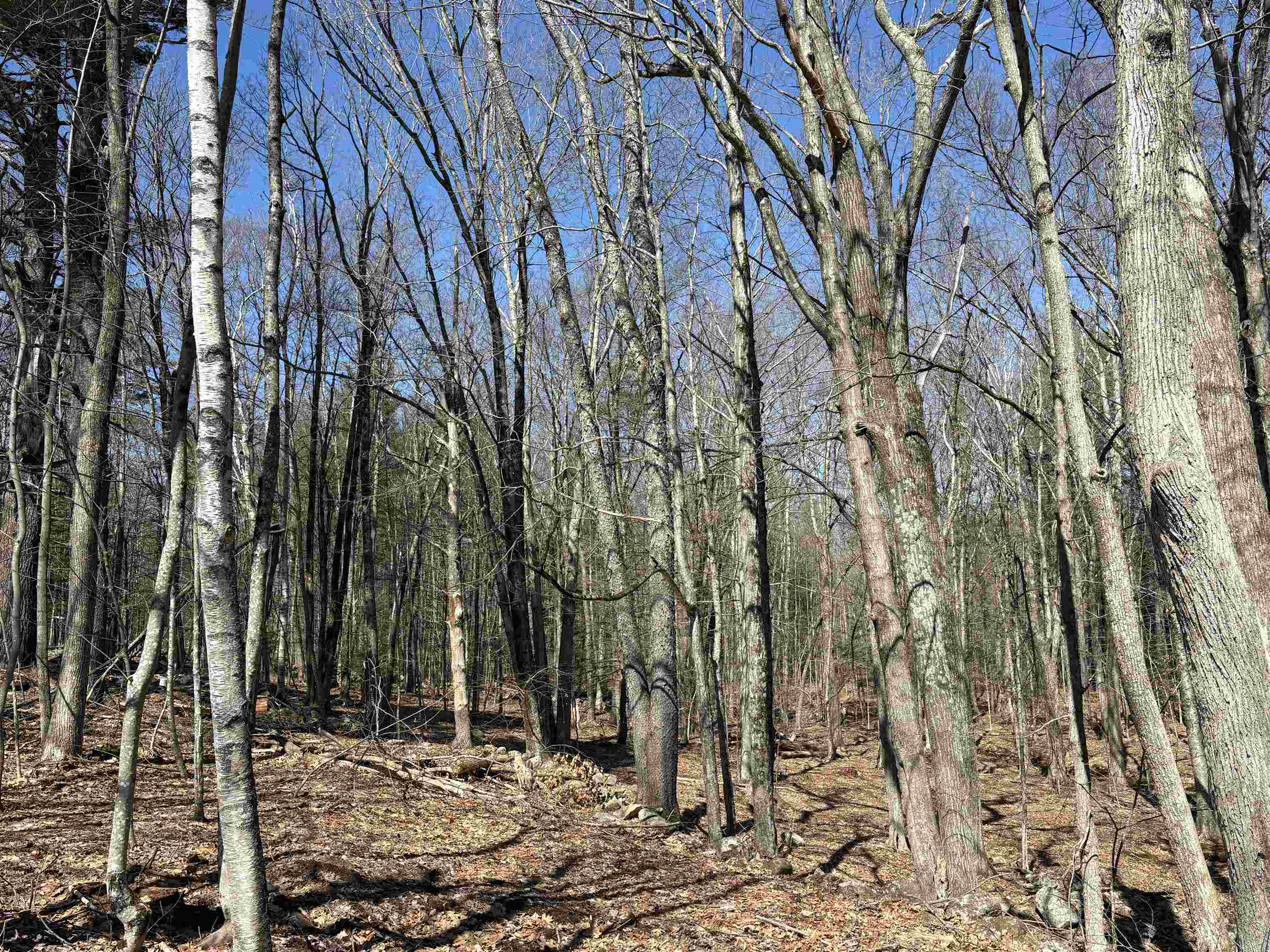 79-1 Currier Road Candia, NH 03034 - Photo 14 of 33