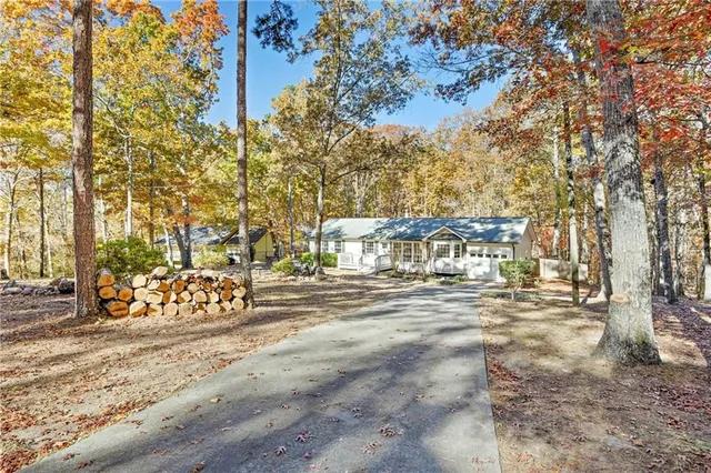 a view of a large yard with plants and large trees