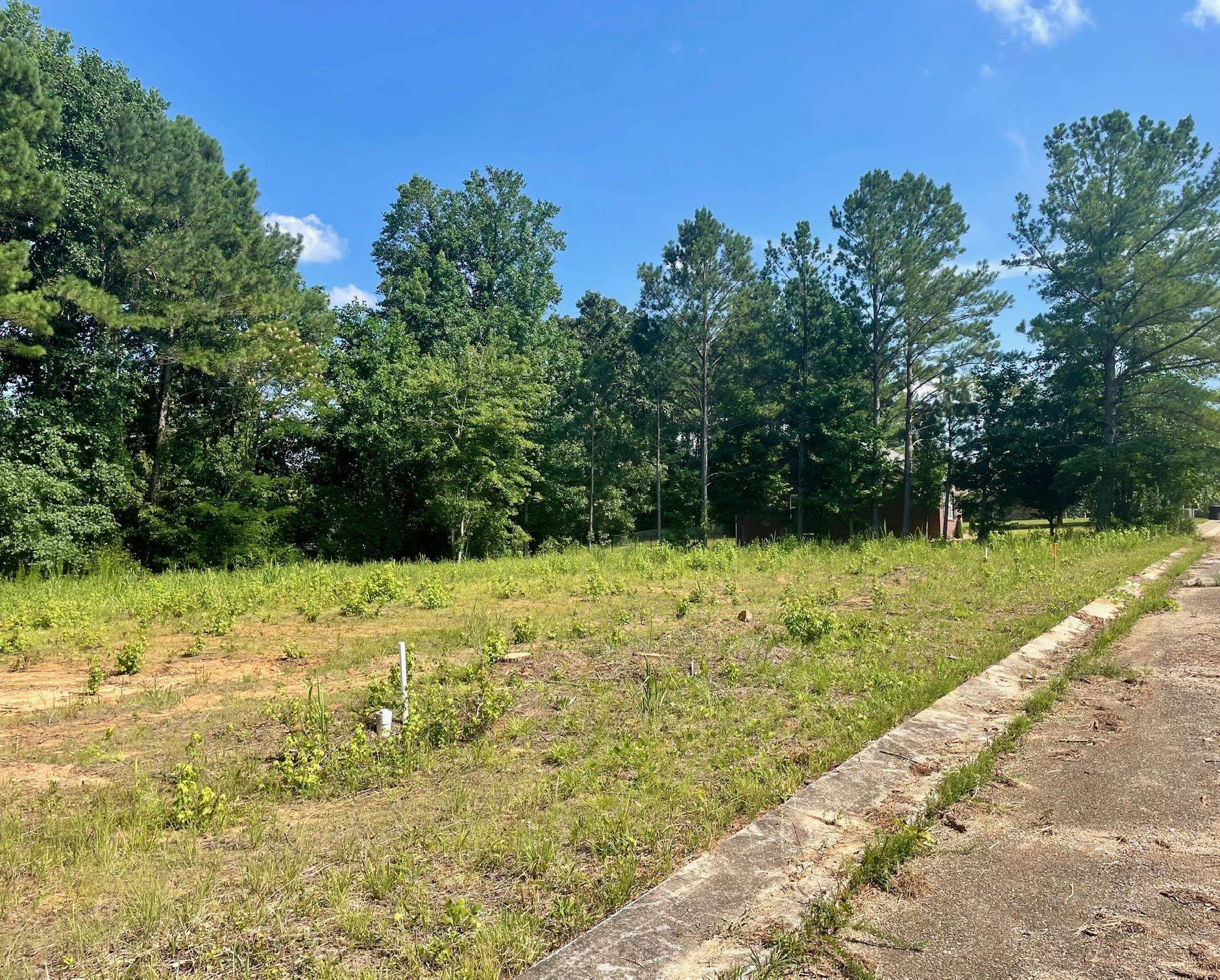 Lot 10 Graham Ridge Road Iuka, MS 38852 - Photo 3 of 5 Exterior space with a rural view