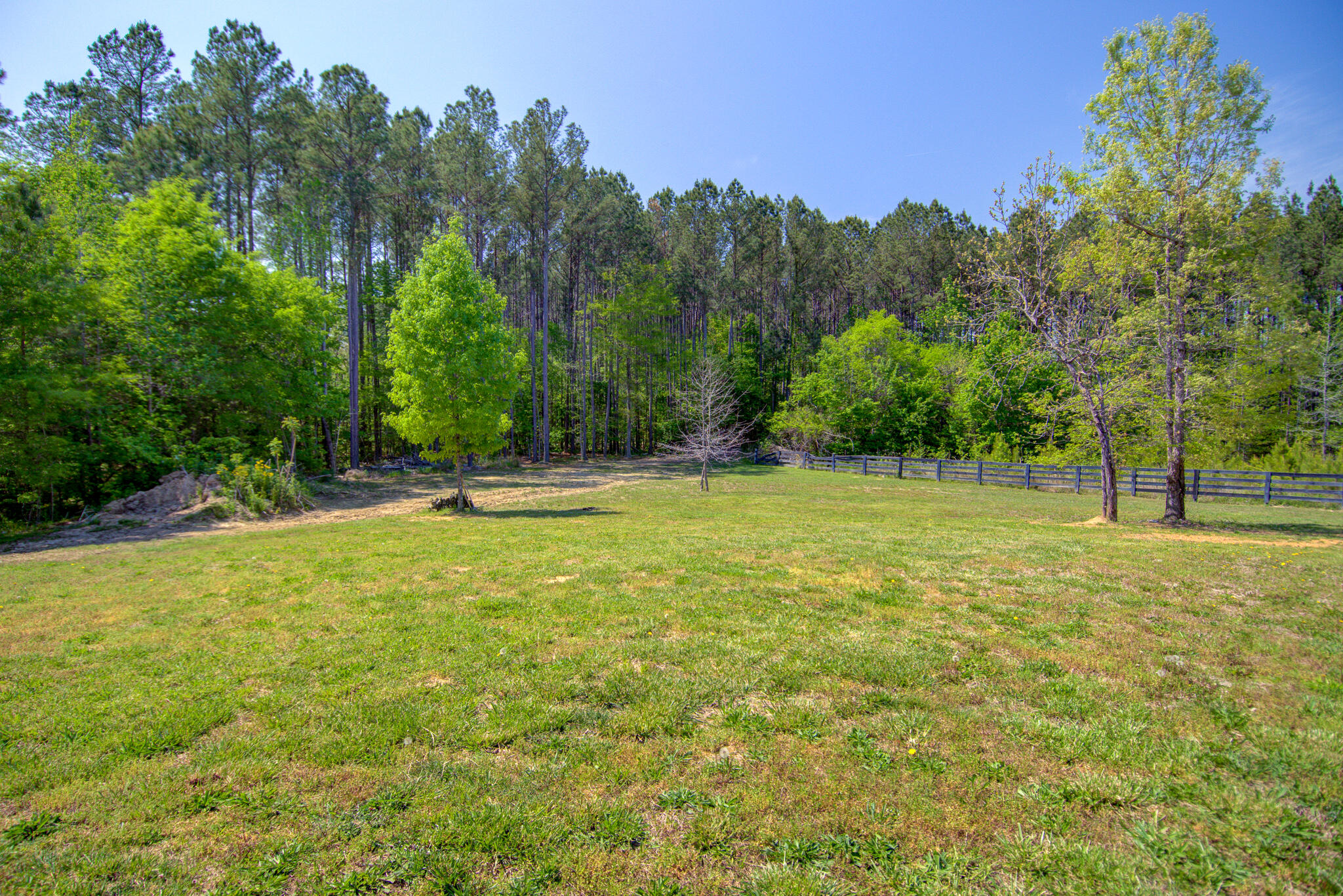 2879 Ballground Road Chatsworth, GA 30705 - Photo 6 of 19 _DSC5000_1_2