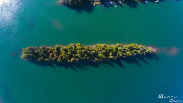a green field with lots of green space