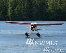 a view closeup of a plant