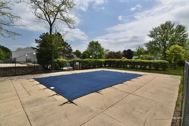 a view of a park with large trees