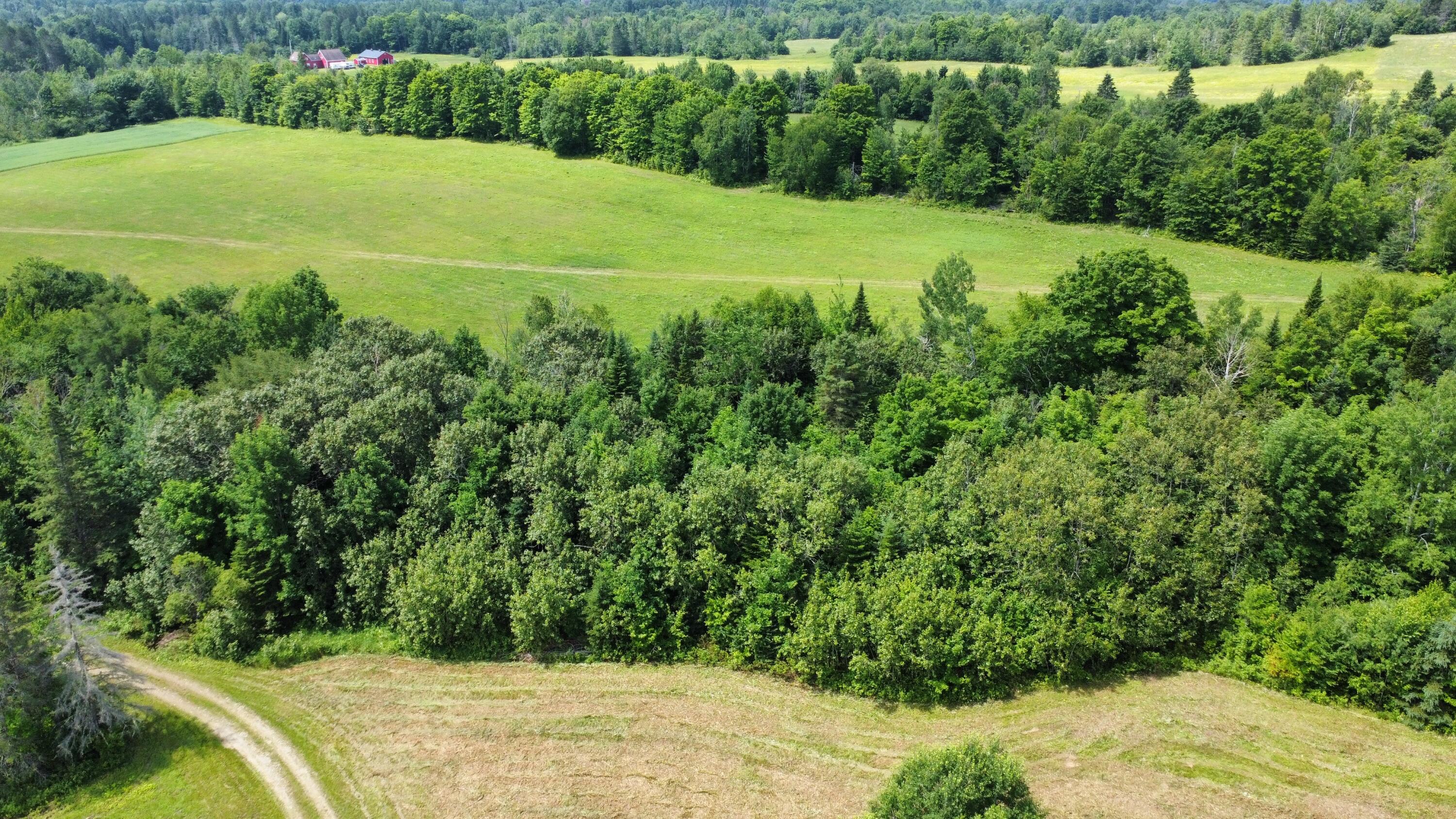 181 Gustin Road Blaine, ME 04734 - Photo 8 of 41 dji_fly_20240705_111318_509_172019240475
