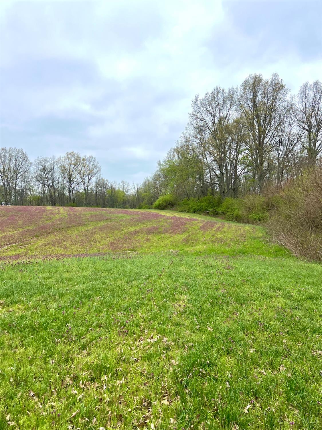 8294 Marks Road Georgetown, OH 45121 - Photo 53 of 96