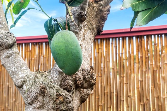 $2,400,000 | 76-6379 Kilohana Street, Kailua-Kona, HI 96740