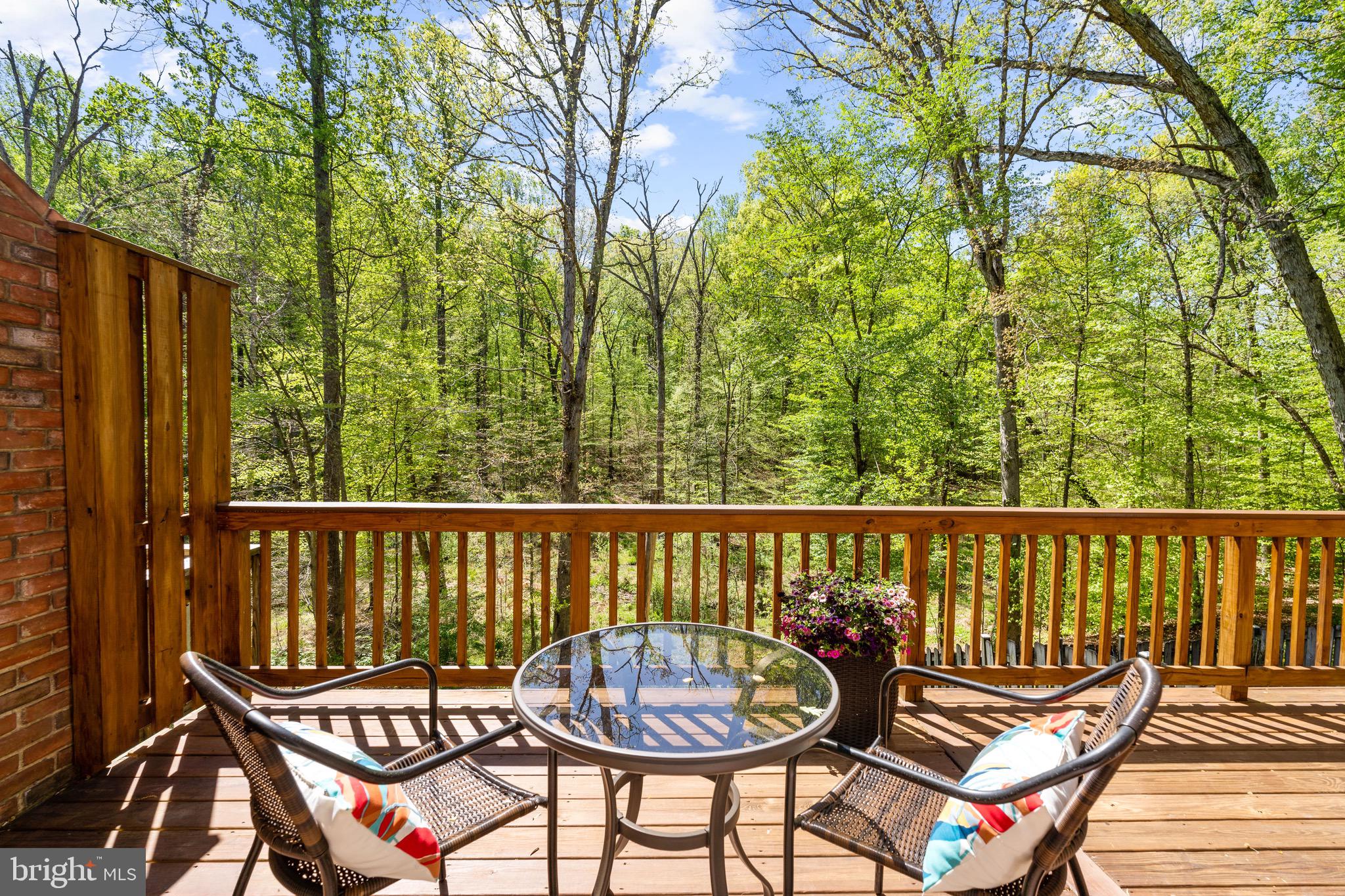 8939 Park Forest Drive Springfield, VA 22152 - Photo 13 of 48 Serene and peaceful setting.