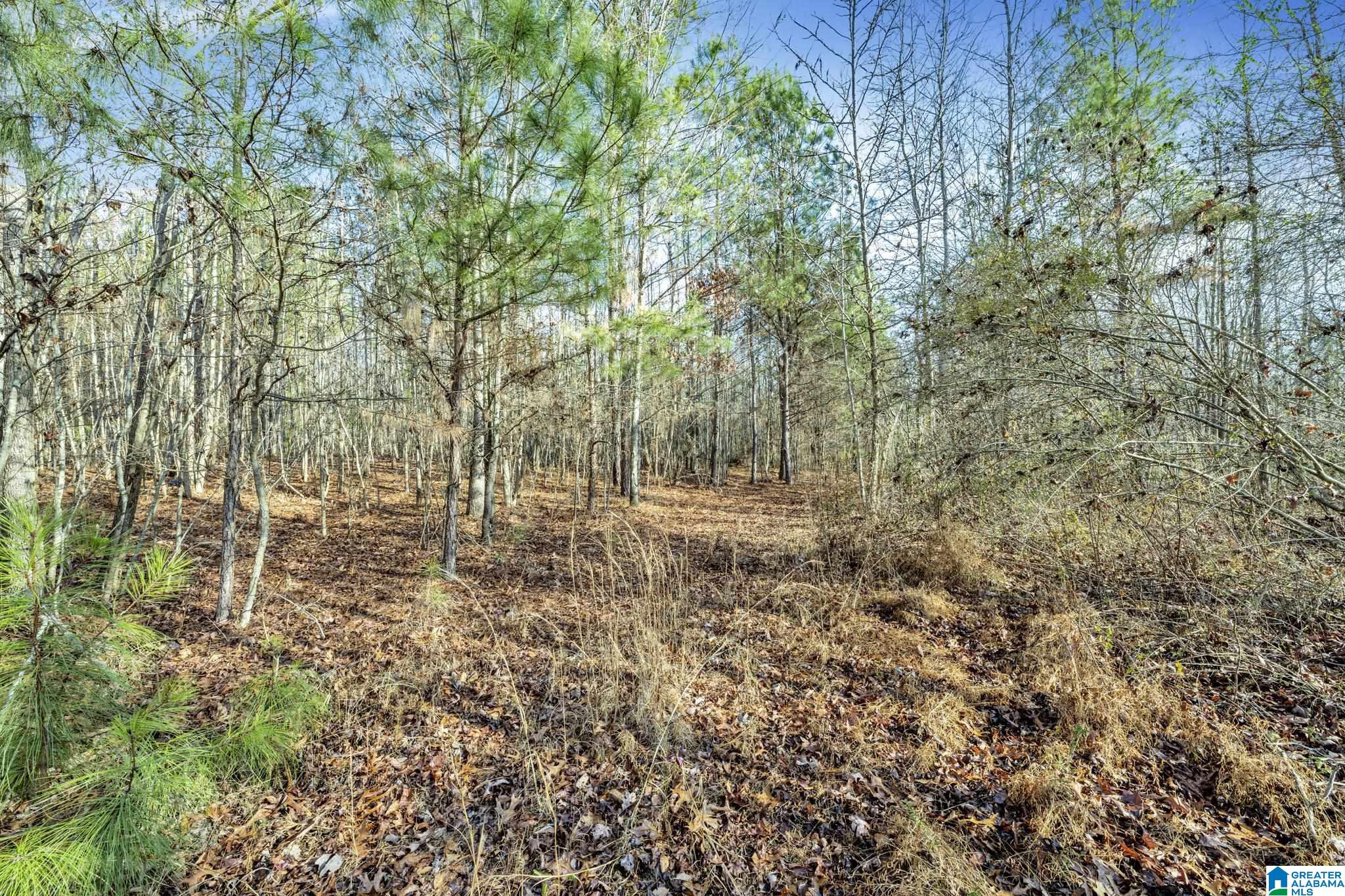 941 Hamm Road Blountsville, AL 35031 - Photo 45 of 67