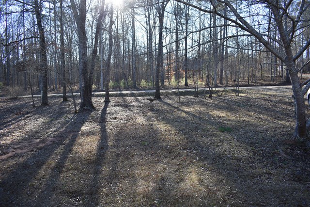 135 Taylor Road Gray, GA 31032 - Photo 23 of 28 a view of outdoor space with trees