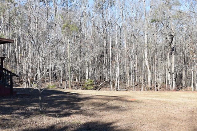 135 Taylor Road Gray, GA 31032 - Photo 27 of 28 a view of outdoor space with trees