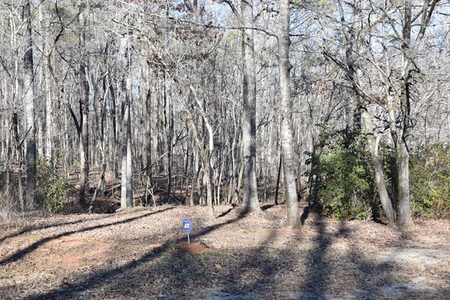 135 Taylor Road Gray, GA 31032 - Photo 5 of 28 a view of outdoor space and yard