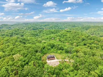 a view of a green field with lots of bushes