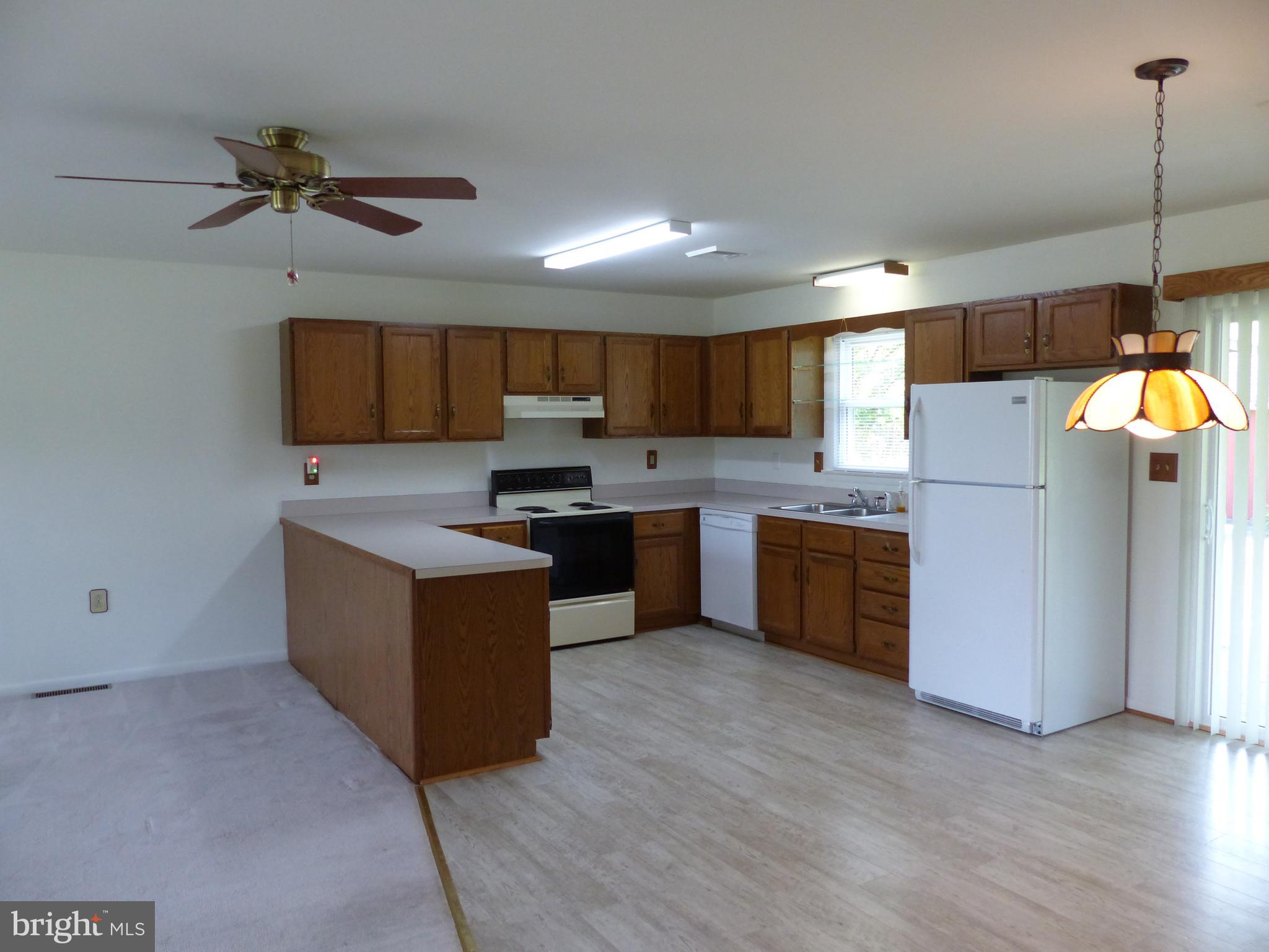107 Slaughter Station Road Hartly, DE 19953 - Photo 5 of 18 Kitchen
