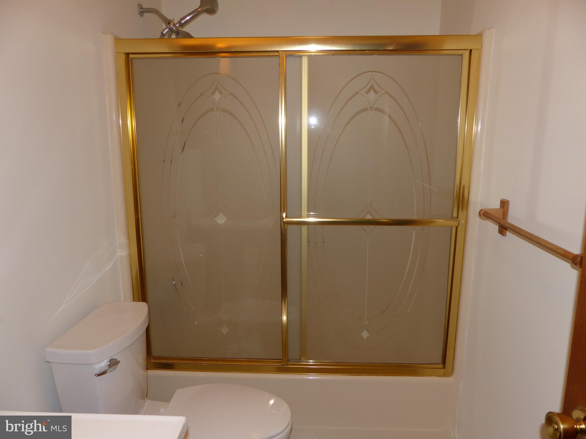 107 Slaughter Station Road Hartly, DE 19953 - Photo 7 of 18 Bathroom