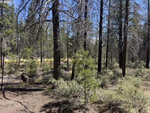 $38,000 | Munson Drive, Unit 1 & 2, Chiloquin, OR 97624