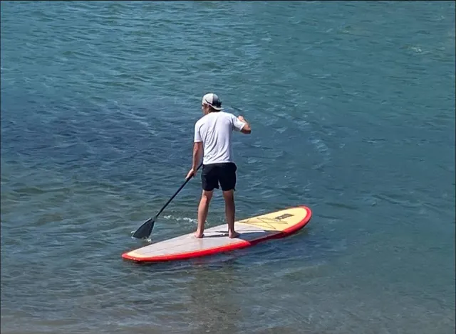 a view of a chairs in a backyard