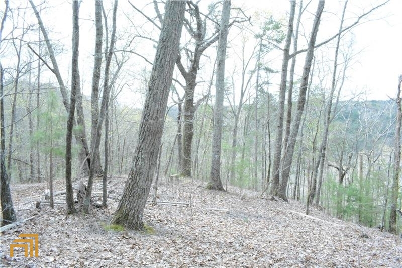 0 Ward Ridge Road Jasper, GA 30143 - Photo 1 of 1