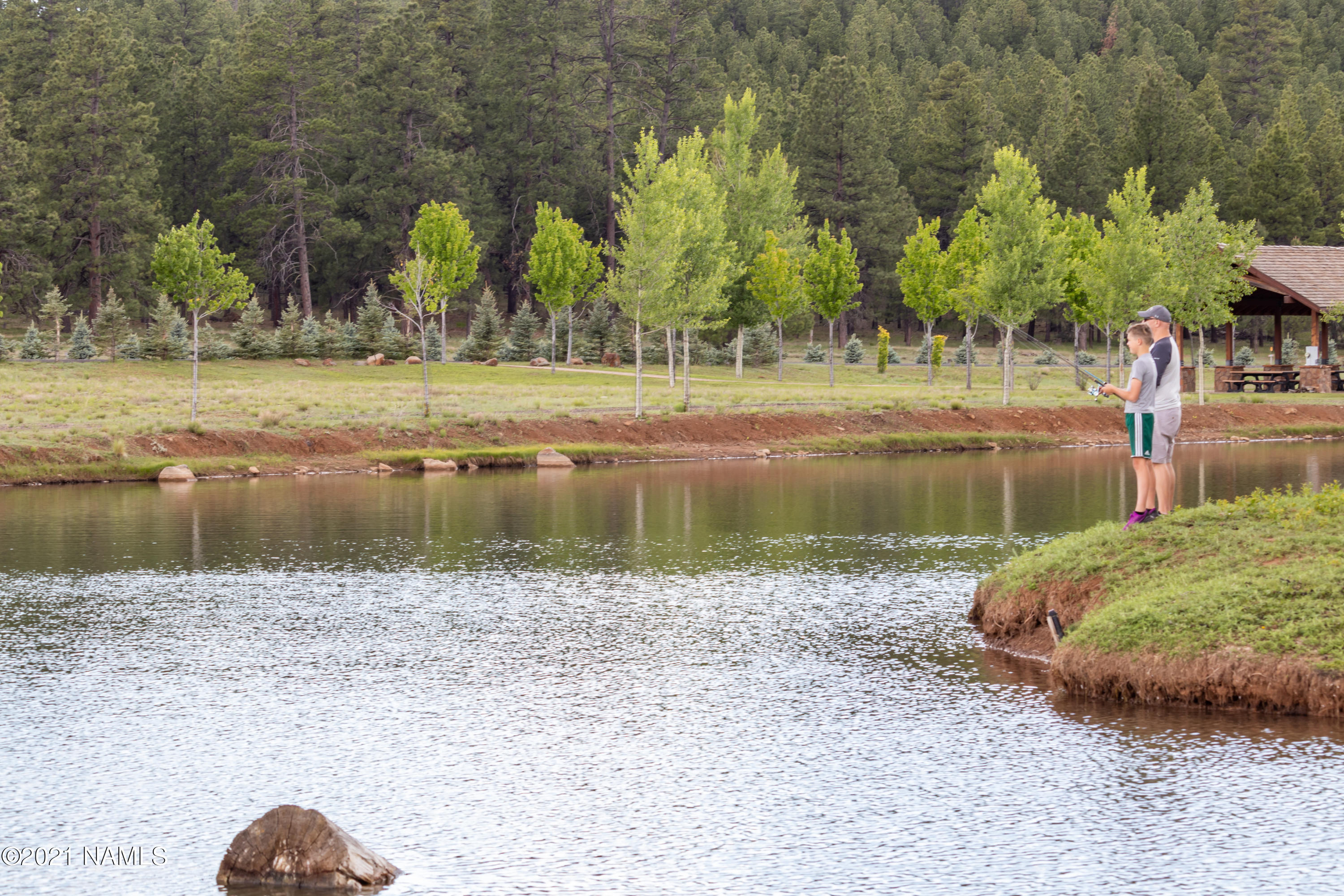 141 East Foxboro Road, Unit 10 Munds Park, AZ 86017 - Photo 4 of 22 Catch & Release Fishing