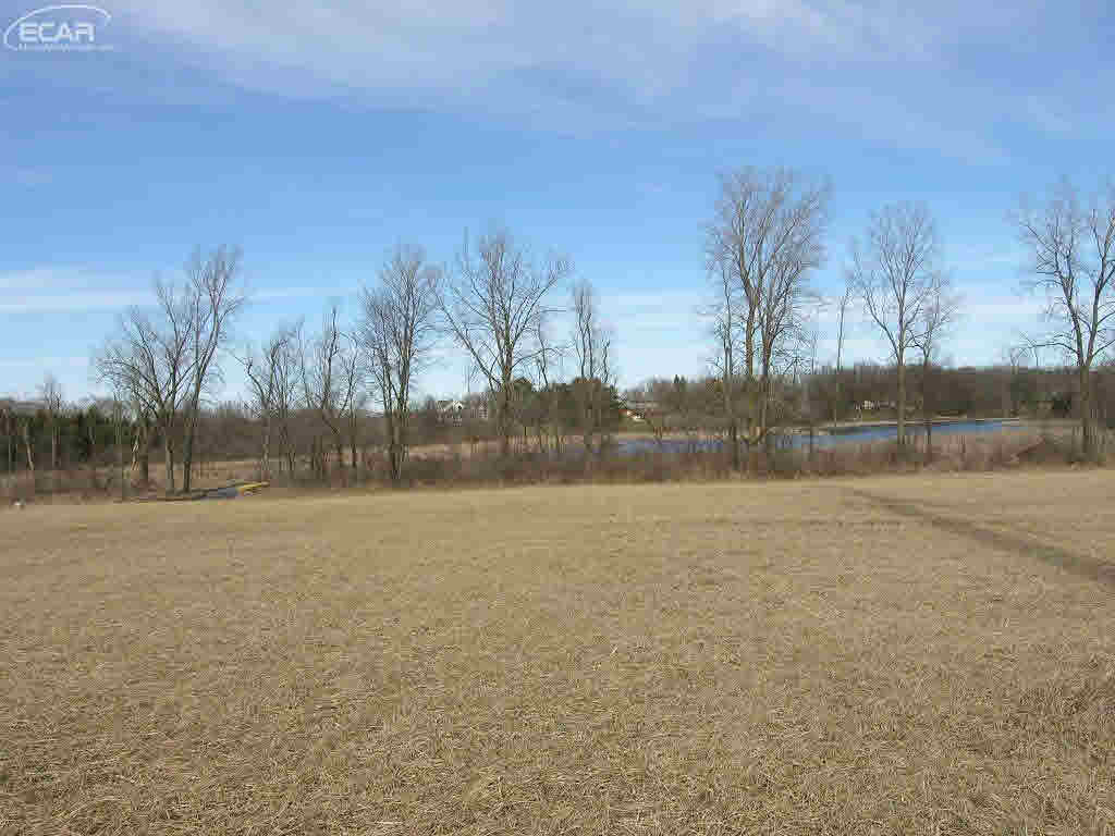10323 County Line Road Goodrich, MI 48438 - Photo 67 of 70 21274129-66.JPG