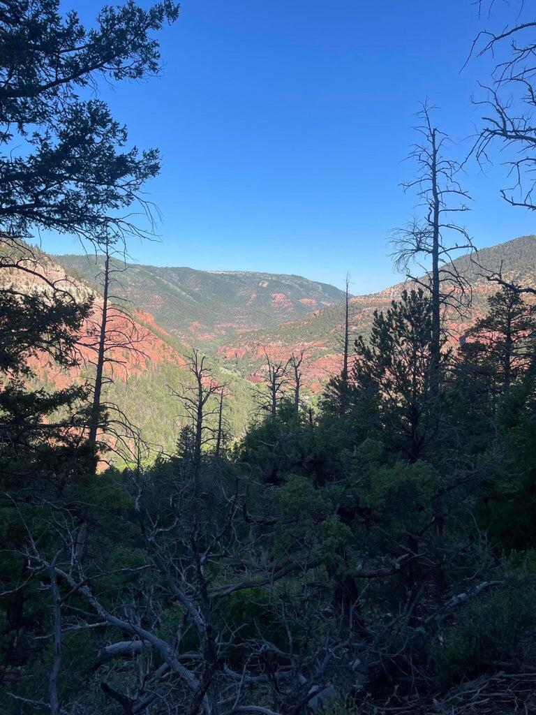 1 58p Road Sawpit, CO 81430 - Photo 17 of 34 20240523184809067493000000-o