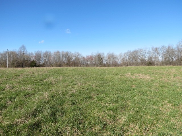 0 Tom Woods Road Flintville, TN 37335 - Photo 11 of 31 Gallery Image 11