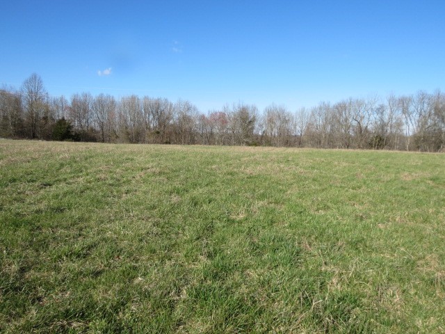 0 Tom Woods Road Flintville, TN 37335 - Photo 12 of 31 Gallery Image 12