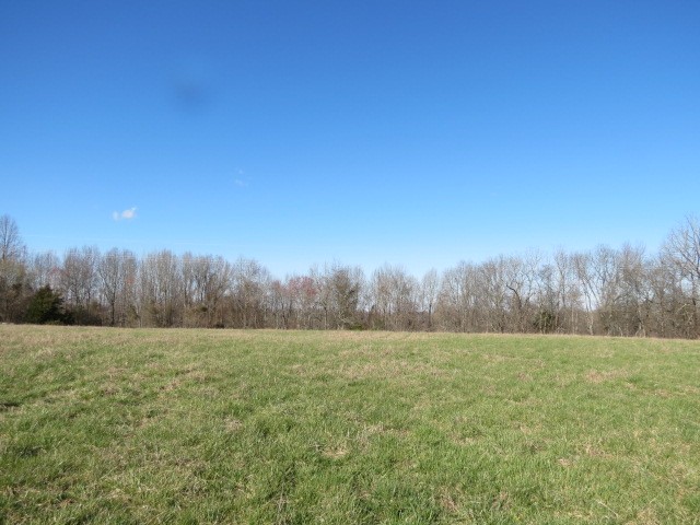 0 Tom Woods Road Flintville, TN 37335 - Photo 13 of 31 Gallery Image 13