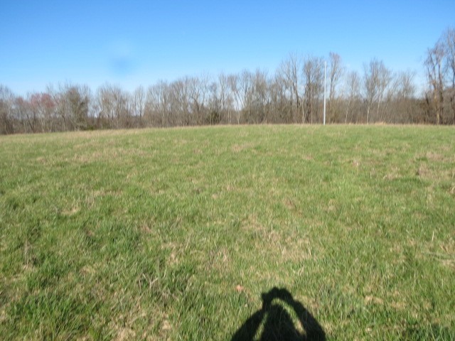 0 Tom Woods Road Flintville, TN 37335 - Photo 14 of 31 Gallery Image 14