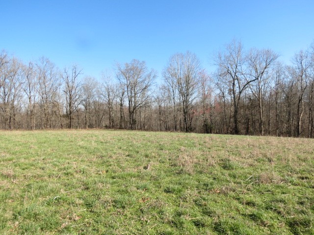 0 Tom Woods Road Flintville, TN 37335 - Photo 15 of 31 Gallery Image 15